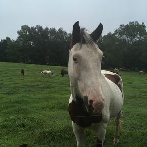 Meet your Posher, Jean